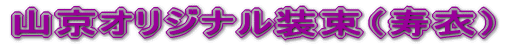 RIWii߁j